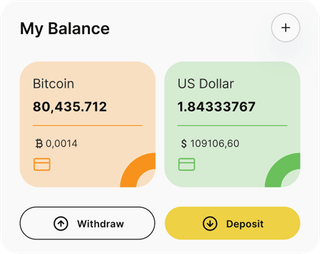 Dashboard-Übersicht der Skvanelidro-Automated-Trading-Lösung